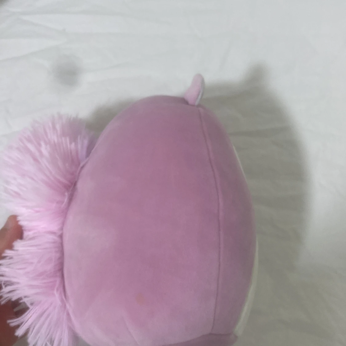 Gossedjur  squishmallow - 2