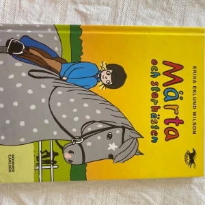 Märta och storhästen - En färgglad och charmig bok om Märta och hennes äventyr med en stor häst. Perfekt för dig som gillar hästar och vill ha en lättläst och rolig berättelse. Passar både nybörjarläsare och hästintresserade unga.