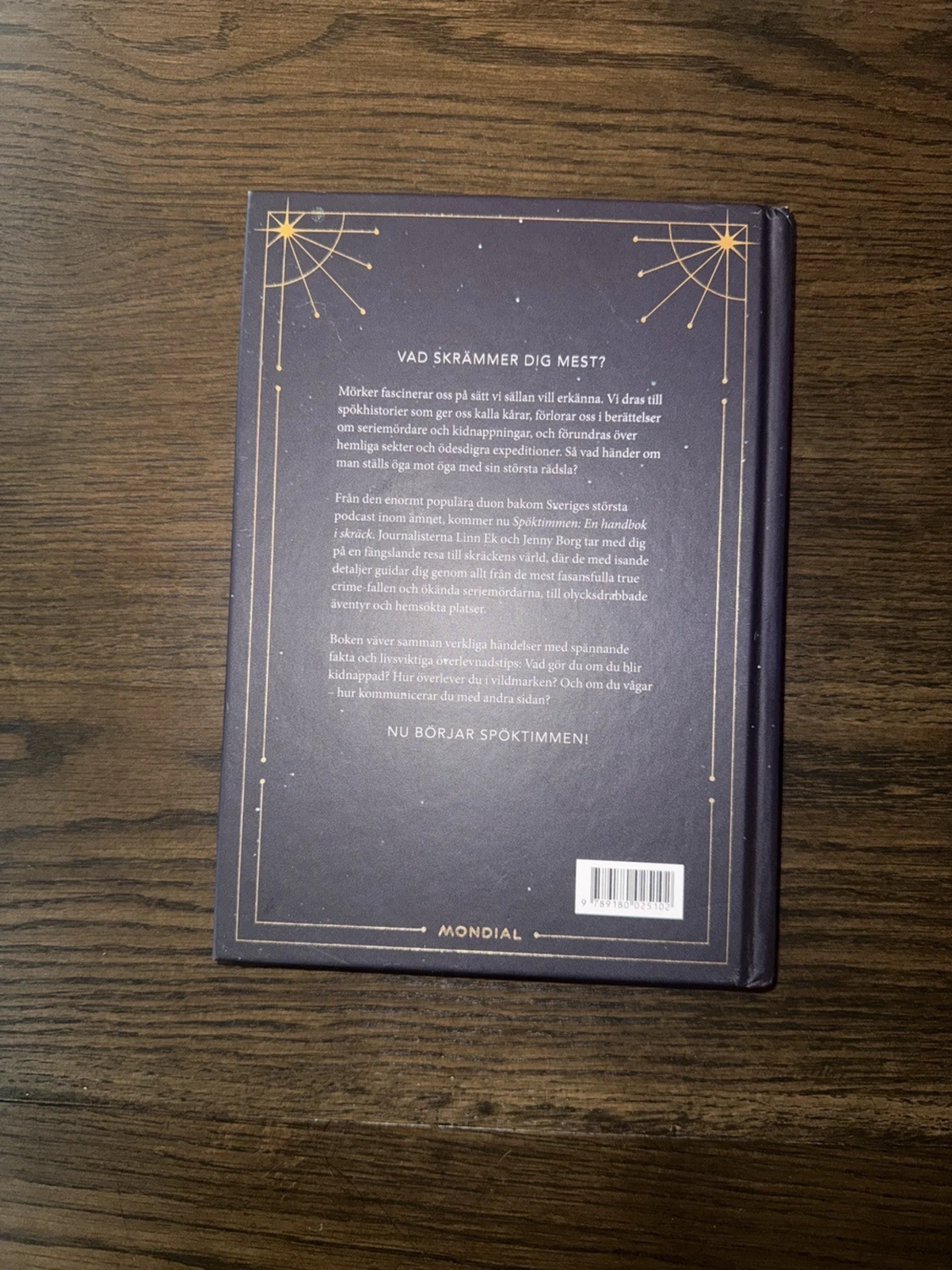 Spöktimmen: En handbok i skräck - 2