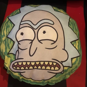 Ingen väst på bilderna - Bilderna visar 1 rund kudde med motiv från Rick and Morty, inte någon väst.