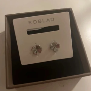 Helt nya Edblad örhängen  - Ett par helt nya örhängen från Edblad. Nypris 299+ box 25kr. Fick i present och kommer ej att använda därav säljer jag 