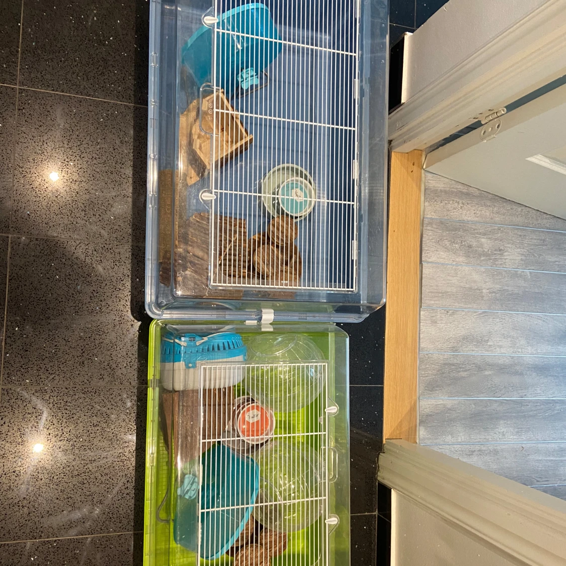 Dvärg hamster burar  - 3