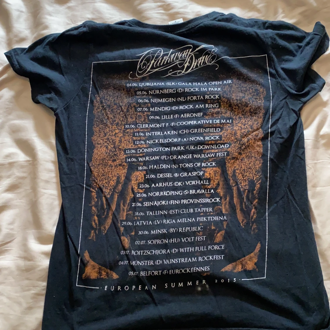 Parkway drive tour t-shirt 2015 strl S - 90