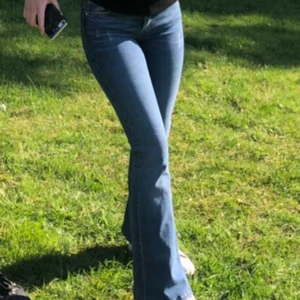 Jeans zara bootcut  - Dom perfekta bootcut jeansen från zara! Jeansen har perfekt stretch och sitter som en smäck på den övre delen och lägger sig fint över skorna! Säljs pågrund av att dom inte kommer till så mycket användning längre, skriv privat om du har frågor eller vill ha bättre bilder på dem! Är 1,55 lång och passar perfekt i längden på mig, därmed bra i längden för korta😚🙌🏻