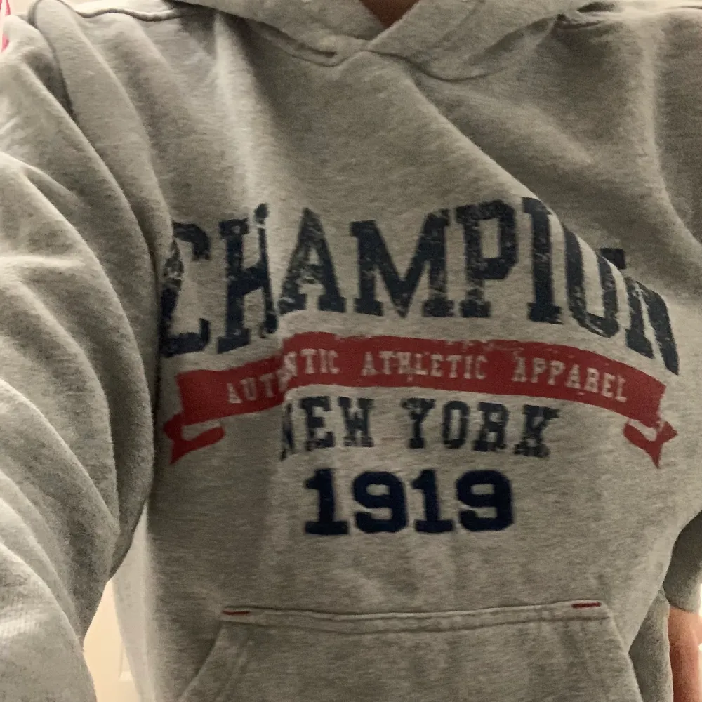 Champion hoodie i gott skick💞 budgivning i kommentarerna om många är intresserade!. Hoodies.