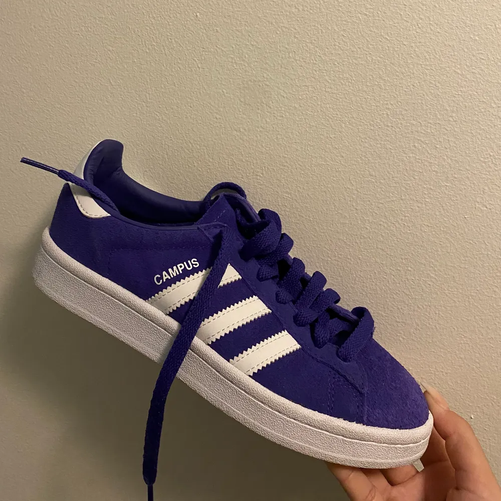 Säljer mina helt oanvända adidas skor, Campus modellen. Ny pris: 699kr . Skor.