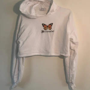 Huddie - Kort huddie från Belgien