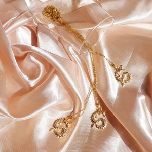 Vintage Drake Halsband  - Vintage drake Halsband 40kr/st,  örhänge 35kr, set med båda örhänge och Halsband 65kr, frakt 15kr. Halsband kedjan är rostfritt stål/ stainless Steel. Den kommer inte tappa bort färgen 😍 jag skicka bild på paketet innan jag posta. Skriv i chatten vid frågor! I LAGER- 5/20 ST KVAR‼️