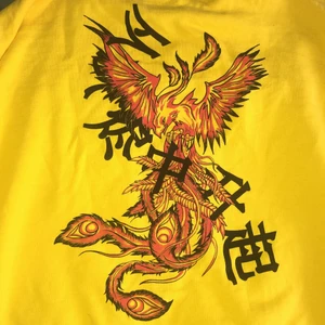 Långärmad t-shirt  - Cool T-shirt med tröja under med motiv av en fågel på ryggen. Står att storleken är XS men är typ som M