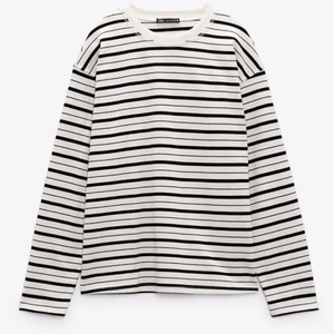 Randig tröja  - Fin randig tröja från zara, köpare står för frakt 