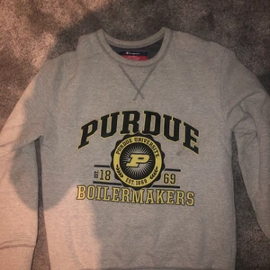 Champion Sweatshirt - En Vintage Champion tröja som införskaffades för några veckor sedan men som tyvärr var för liten, storleken är M och nypris ligger på 600kr, tröjan är endast använd 2 gånger och mitt pris är 250kr! Hör av dig vid frågor