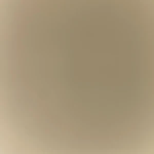 Om juicy  - Jag vill bara säga att den 7 januari 2022 så kommer jag inte längre att sälja juicy byxrona alltså om ni vill köpa dom Så får ni passa på ni har till den 1/7 2022 efter det så är dom inte till salu längre o passa på för priset är värd vad ja köpte de för o har aldrig aldrig andvönt dom så nu borde ni faktiskt passa på 