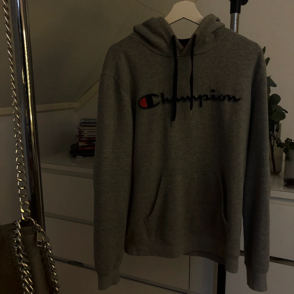 snygg Champion hoodie🤩🐺⚡️⚡️