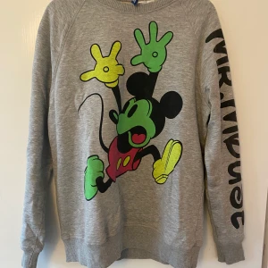 Sweatshirt  - Tjocktröja med tryck både fram och bak. Strl L. Skickas mot frakt eller kan hämtas i Bromma. 