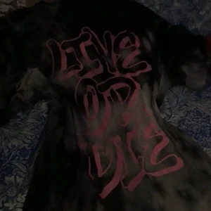 L - En tröja som kostar 100 kr jag har haft den 5 gånger 