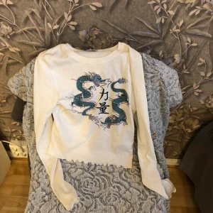 Drak tröja - En draktröja från new yorker strl S