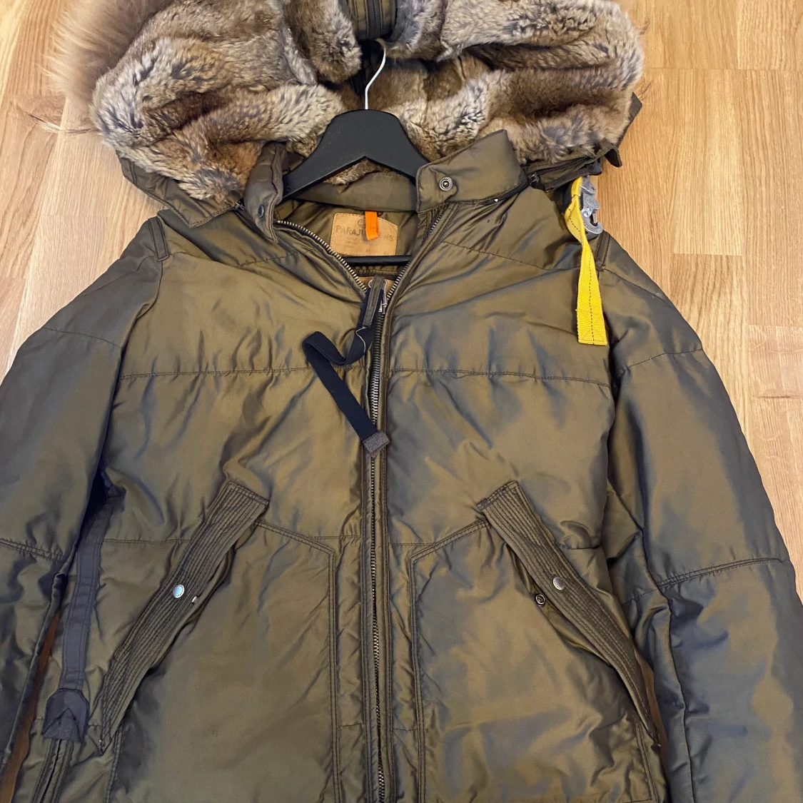 Parajumper longbear  - 91