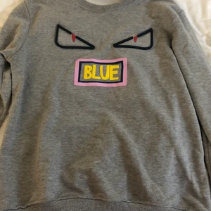 Fendi tröja st L - Fendi tröja storlek L, passar även om du har M och S, jag själv har S och den sitter bra, säljer för 1900kr nypris 4300kr