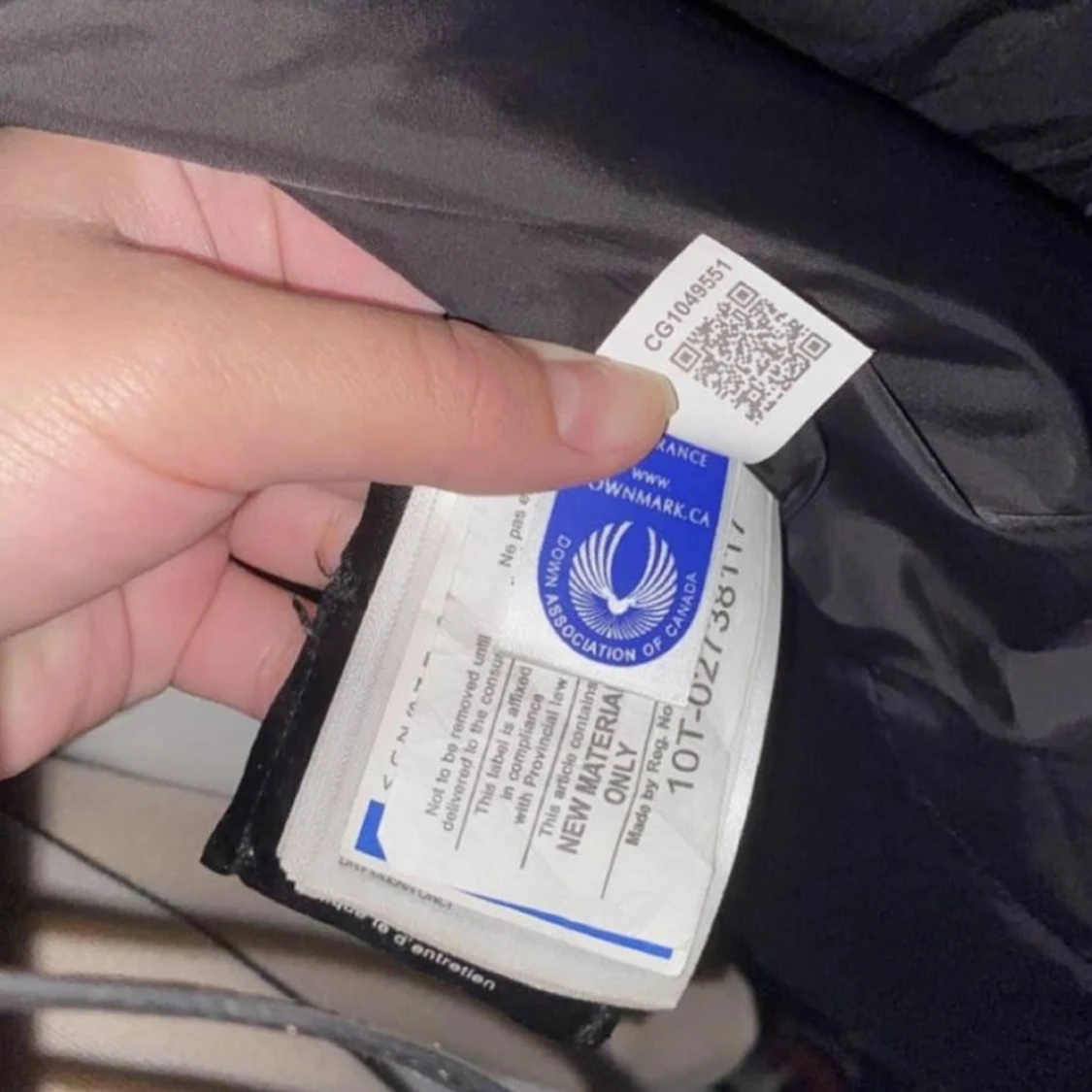 Canada goose shelburne - 91