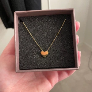 Edblad halsband - Ett halsband ifrån Edblad i guld. Använt enstaka gånger så det finns inga defekter.