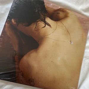 Hs1 vinyl - Helt ny Harry styles vinyl, aldrig använd utan har bara stått och dammat på min hylla. 💕pris går att förhandla