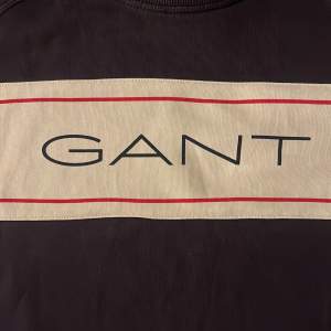 Hej! Säljer nu en fin tröja från GANT. Tröjan är i storlek 158/164 (13-14år) tröjan är i fint skick. Hör jätte gärna av dig om du undrar något! 