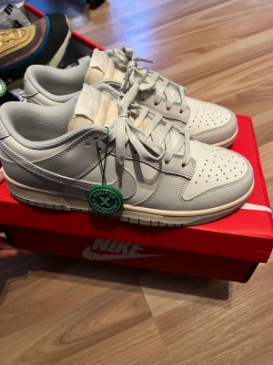 Nike dunks low - Ny skick