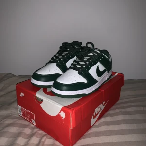 Nike dunk low retro team green - Oanvända Nike dunk Team Green i storlek 43. Crease skydd och box följer med👍 Pris går att diskutera