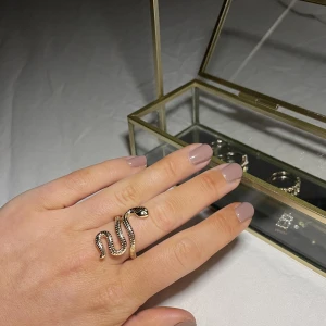 Orm ring - Säljer denna svincoola orm ringen som jag älskar men tyvärr inte får användning av längre🌟 Säljer mycket smycken nu då jag har för mycket och rensar, så bara att skriva vid frågor eller behov av fler bilder🤍✨🌟Paketpris vid köp av flera smycken/plagg.