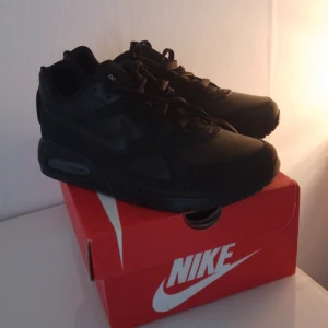 Air max  - Aldrig använt de här skorna så de är bra skick och stolek 41 