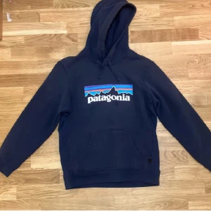 Patagonia hoodie - New
