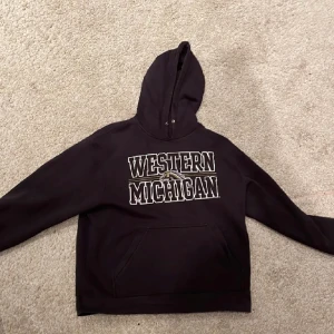 Vintage hoodie - En fin vintage hoodie köpt på Beyond retro 2020, använd 4 gånger. 