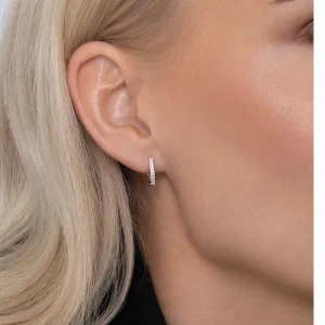 silver örhängen  - Ett par så fina silver örhängen från ANI. Köpte fel och säljer de för lie billigare här. Super fina och trendiga! 