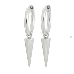 Edblad örhängen - Säljer nu mina så snygga örhängen från Edblad🤗🤗 köpt i våras och knappt använda då jag är mer guld än silvermänniska. Nypris: 399