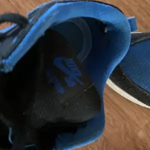Nike sb alleyoop Sällsynta skor som inte går att köpa längre 