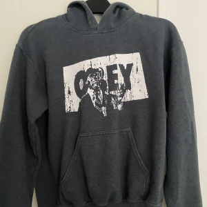 Grå hoodie - Jättesnygg hoodie som är köpt second hand☺️ Säljer då den aldrig kommit till användning och är lite för liten i min smak✨ Kontaka vid intresse eller bättre bilder😚