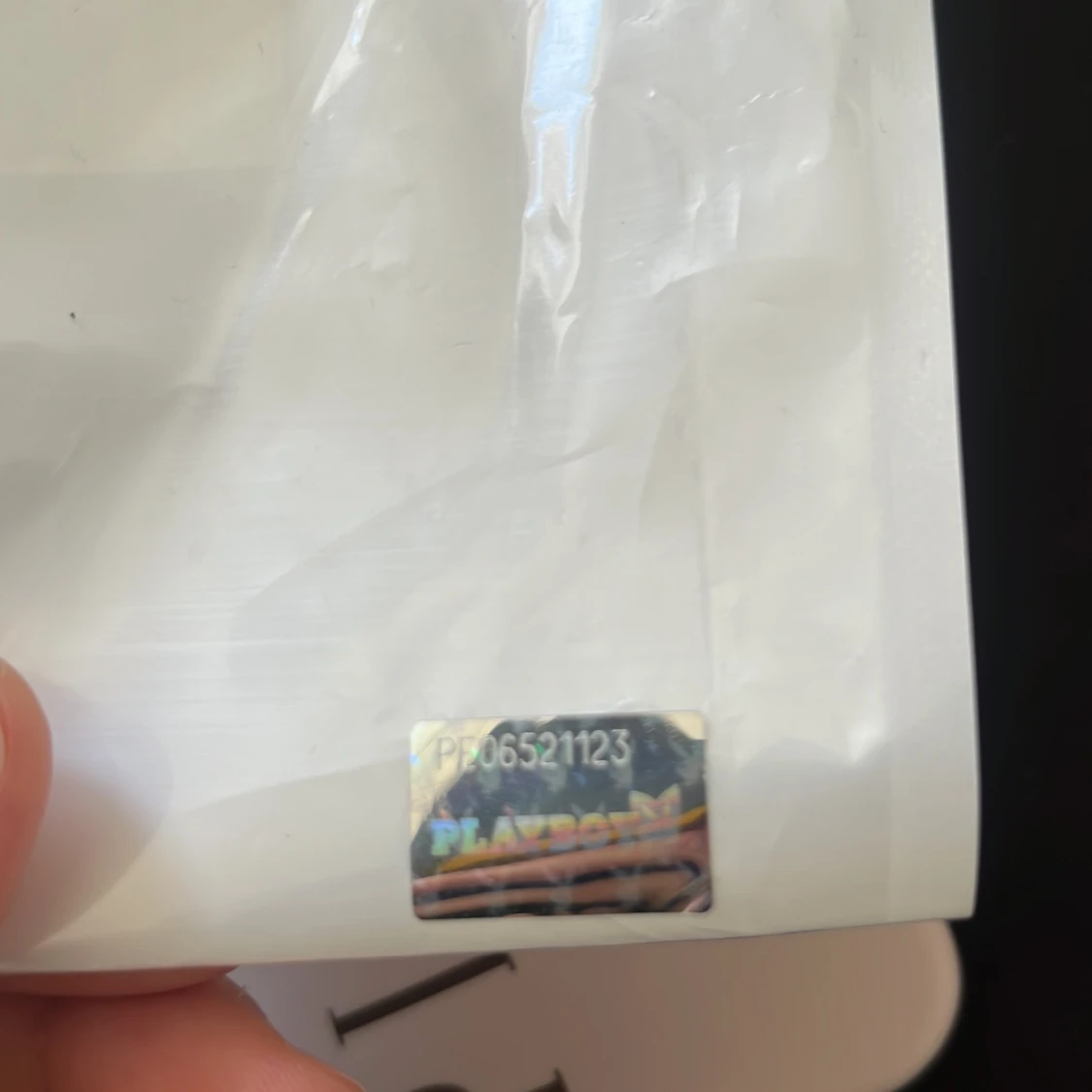 PlayBoy skal iphone 12 - 91