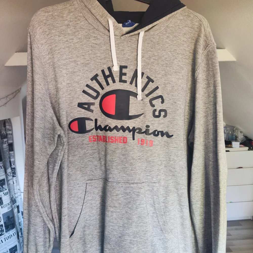Oversized hoodie från Champion. Den är ganska tunn i materialet vilket gör att den passar året runt☺️. Hoodies.