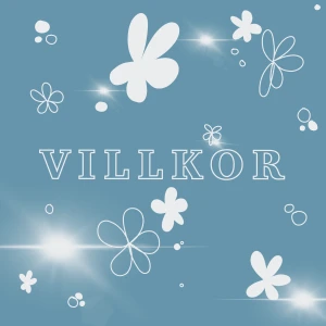 VILLKOR - Mina köpvillkor 🩵 text på nästa sida 2