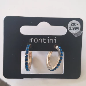 Örhängen  - Guldiga ringar med Plopp bakom har också blå diamanter på men inte riktigt guld kostade 29kr. Du betalar frakten om du inte bor väldigt nära så jag kan komma och lämna dom i din brevlåda.(inte använda) öppen för att ändra priset.