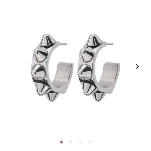 Edblad örhängen  - Säljer mina jätte fina örhängen från Edblad💓köpte dom för 399 å säljer för 250+ frakt 