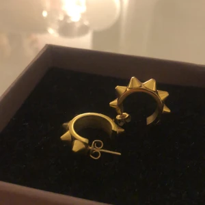 Edblad örhängen  - Säljer mina Edblad örhängen i guld! Fick dom i julas knappt använda! Ser helt nya ut 💗