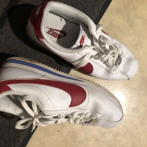 Nike skor - Använt skick