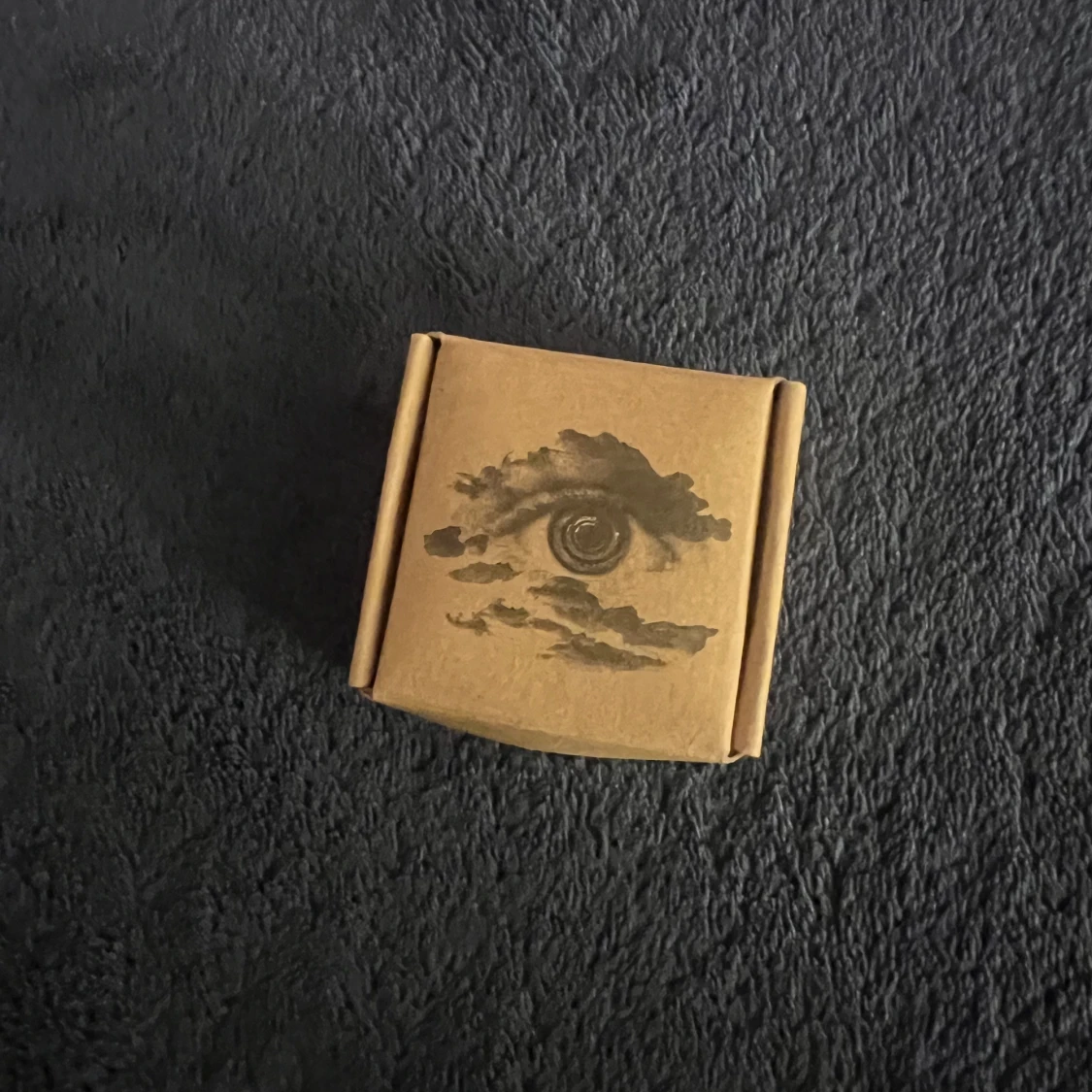 Louis Tomlinson plektrum 