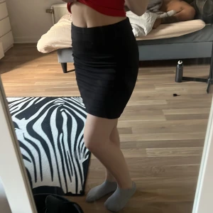 Kjol - Använd ett par gånger men i bra skick. Dragkedja på bakdelen. Ett slags mönster på framsidan även.