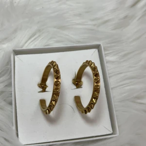 Runda örhängen med nitar - Runda guldörhängen med nitar från Edblad. Superfina med bra kvalitet. Använda Max 2/3 gånger. Helt felfria.