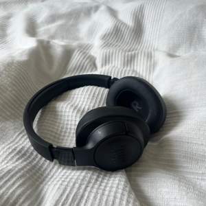Bluetooth styrda- nyligen köpta. ☀️
