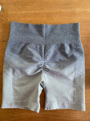 Träningsshorts  - Träningsshorts i nyskick som jag säljer då de inte passade mig :) 