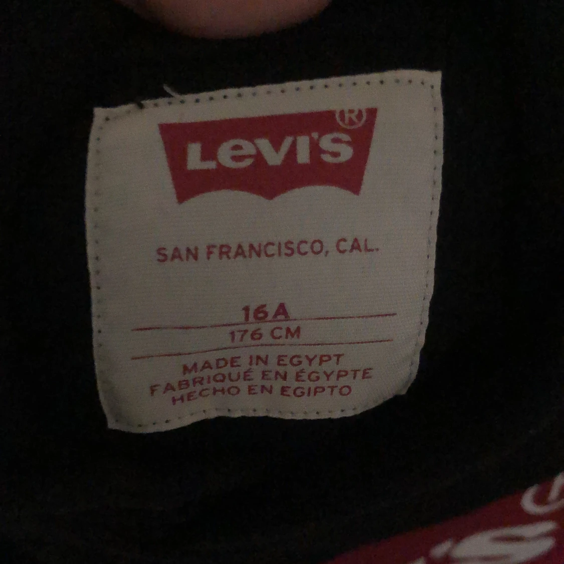 Levis hoodie  - 91