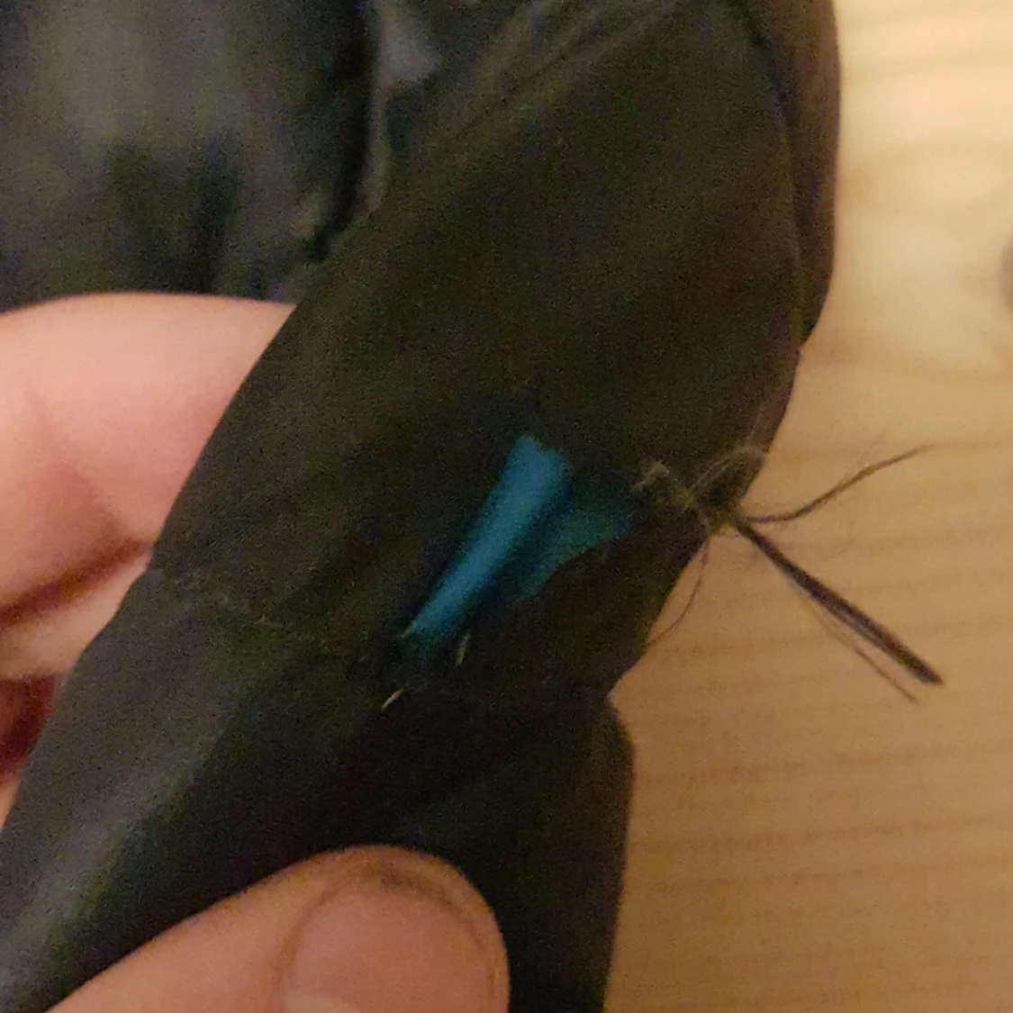 Peak Performance Jacka - 91